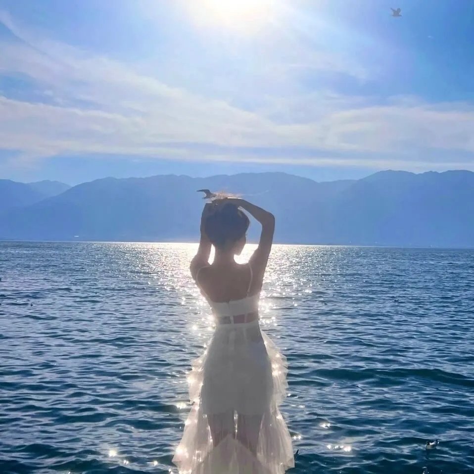 瞄准核子心 海报